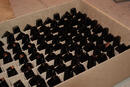plastic-knob-egg-crate-pkg